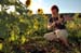 03_fotoreise_provence (72)