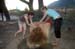 10_fotoreise_provence (28)_1