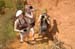 10_fotoreise_provence (31)