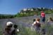 20_fotoreise_provence (91)