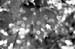 Judith_Krah_02