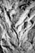 Stephan_Jaeger_01