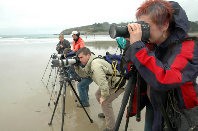 3 Fotoreise Bretagne (6)