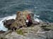 4 Fotoreise Bretagne (9)