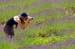 305_Frank_Mitschke (33)