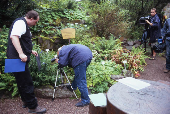 Fotografien_Andreas_Schliewe (13)