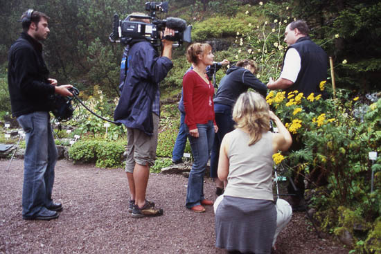 Fotografien_Andreas_Schliewe
