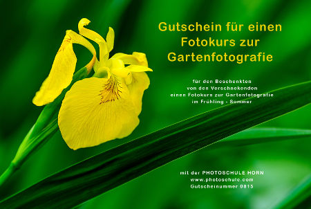 Gutschein Fotokurs Gartenfotografie