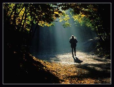 Herbstwanderung im Hainich