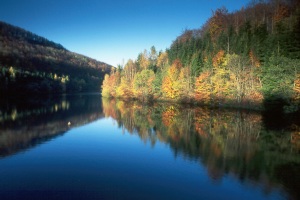Morgentliche Ruhe in T�lern