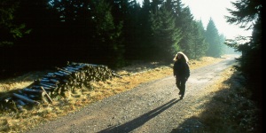 Wanderung im Th�ringer Wald