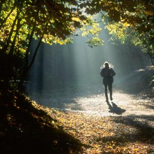 Ruhiges Wandern auf Th�ringer Waldwegen 