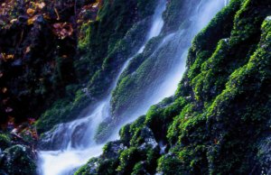 Wasserfall im wildromantischen Schwarzatal