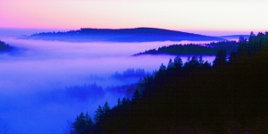 Abendstimmung im den H�henlagen des Th�ringer Waldes
