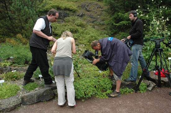 Fotografien_Andreas_Schliewe (32)