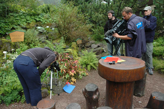 Fotografien_Andreas_Schliewe (34)
