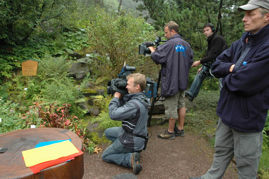 Fotografien_Andreas_Schliewe (39)