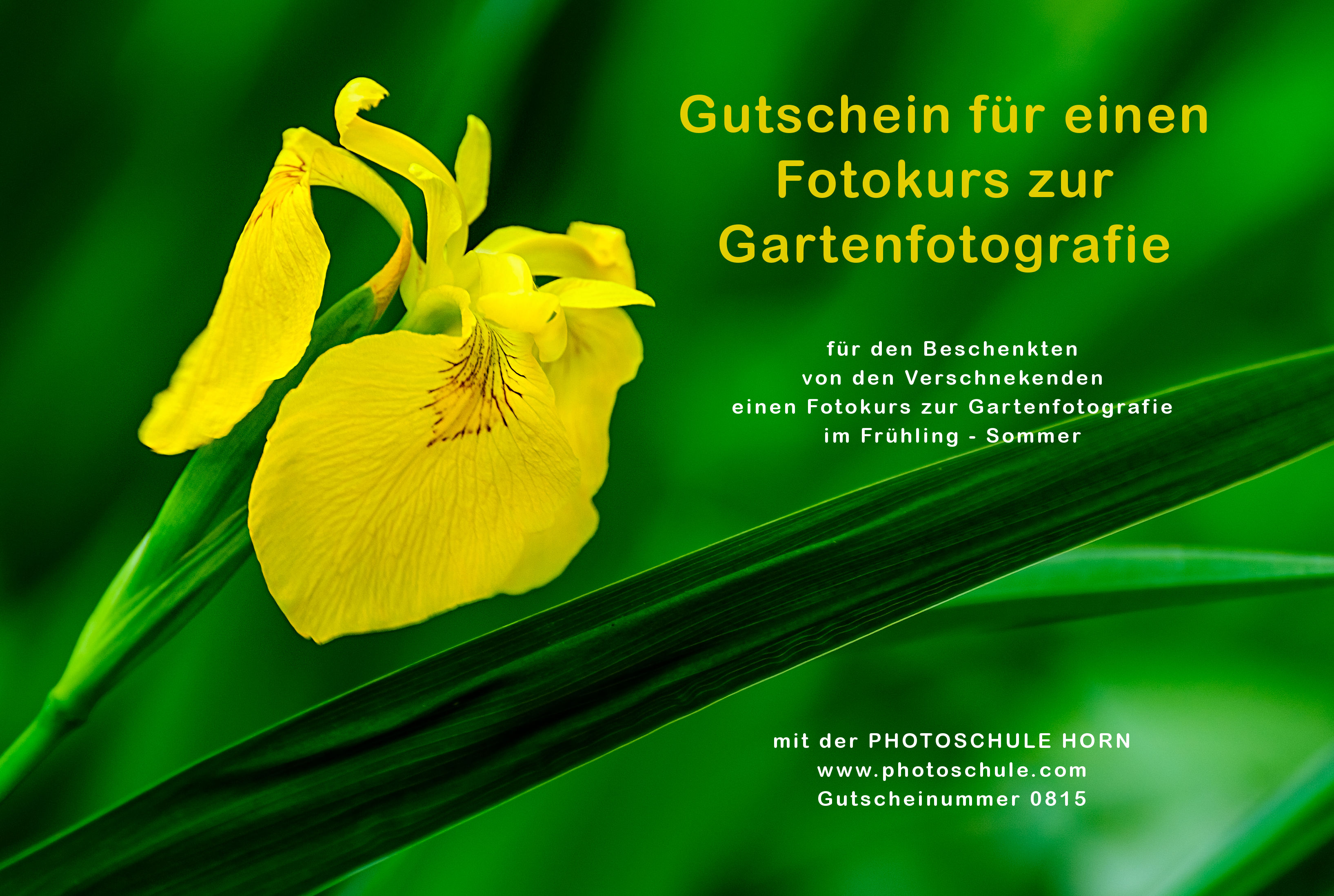 Gutschein Fotokurs Gartenfotografie