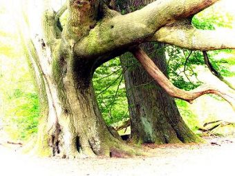 fotokurs hessen kassel fulda göttingen naturfotografie