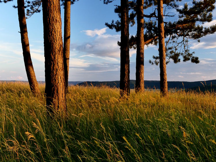 fotokurs eichsfeld