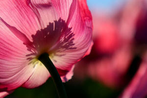 Fotokurs in Eisenach 