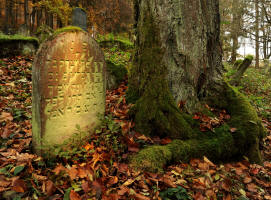 jdischer Friedhof in der Rhn