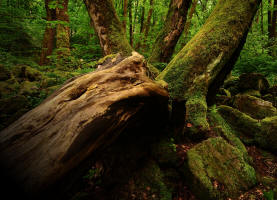 fotokurse rhoen naturfotografie