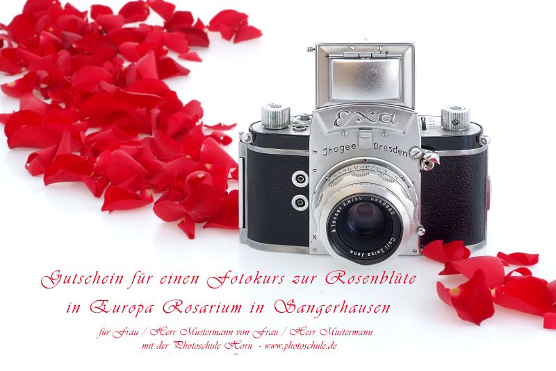 gutschein fotokurs rosenfotografie