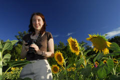 fotoworkshop sonnenblumen blumenfotografie erfurt thüringen