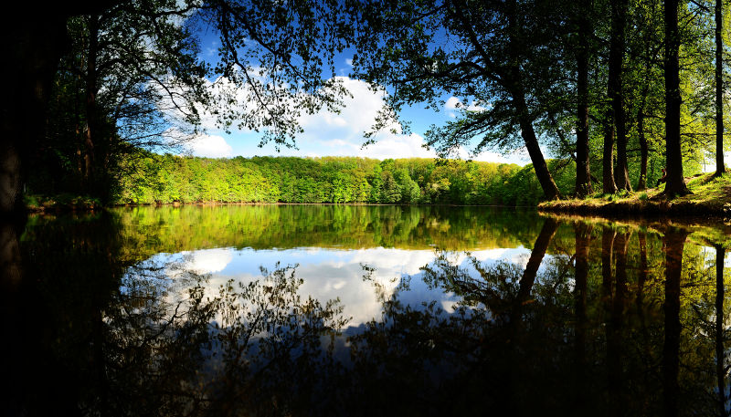 fotokurse thueringer rhoen bad salzungen meiningen