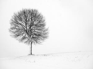 fotokurs winterlandschaft