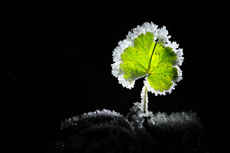 fotokurs winterlandschaft