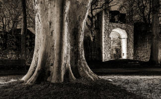 fotokurs bad hersfeld ruinen