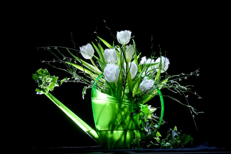 Fotokurs Gartenfotografie