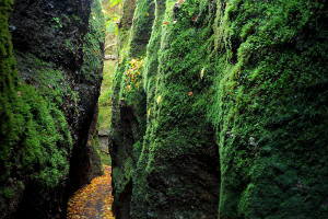 fotokurs wartburg drachenschlucht