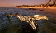 Fotoreise Ostseekste Rgen 