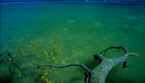 Fotoreise Ostseekste Rgen 