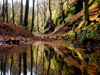 fotokurs thueringen landschaftfotokurs landschaftsfotografie thueringen spiegelung