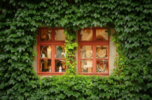 fotokurs weimar