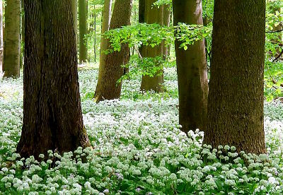 fotokurse landschaftsfotografie thueringen hainich