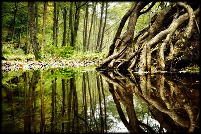 fotokurse landschaftsfotografie thüringen spiegelung